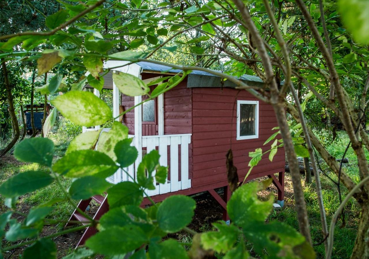 Apartamento Sina Pruchten Exterior foto